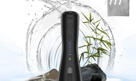 portable water flosser